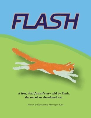 Flash 1