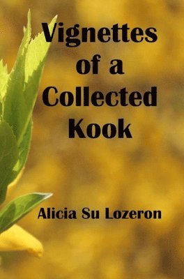 Vignettes of a Collected Kook