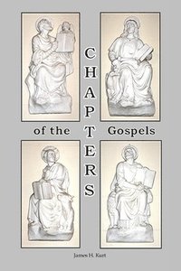 bokomslag CHAPTERS of the Gospels