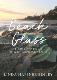 bokomslag Beach Glass