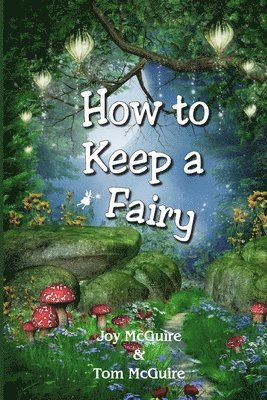 bokomslag How To Keep A Fairy