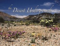 bokomslag The Desert Underground: Exposing a Valuable Hidden World Under Our Feet