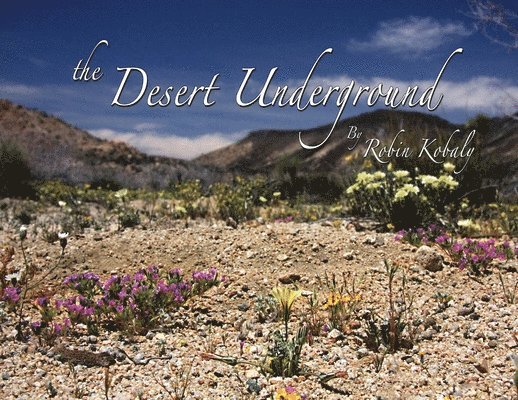 Robin Kobaly - The Desert Underground: Exposing a Valuable Hidden World Under Our Feet, Häftad