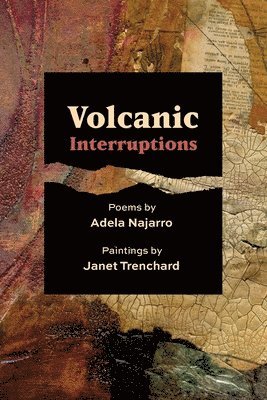 Volcanic Interruptions 1