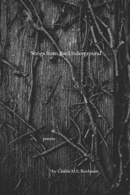 Caitlin M. S. Buxbaum - Songs from the Underground, Häftad
