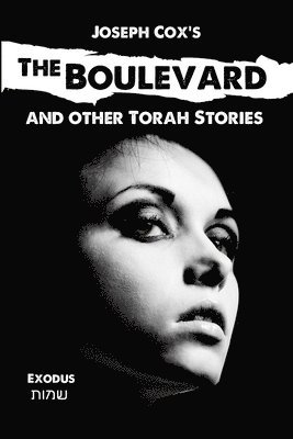 bokomslag The Boulevard: and other Torah stories