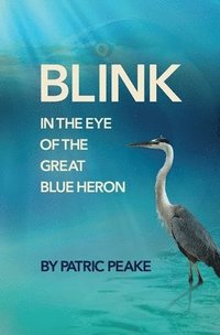 bokomslag Blink in the Eye of the Great Blue Heron: A Educator's Journey of Discovery