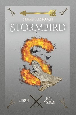 bokomslag Stormbird