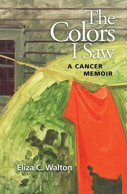 Colors I Saw
