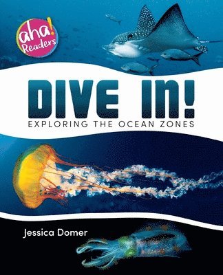 bokomslag Dive In!: Exploring the Ocean Zones