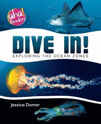 Jessica Domer, Tara Raymo, Luana K. Mitten - Dive In!: Exploring the Ocean Zones, Häftad