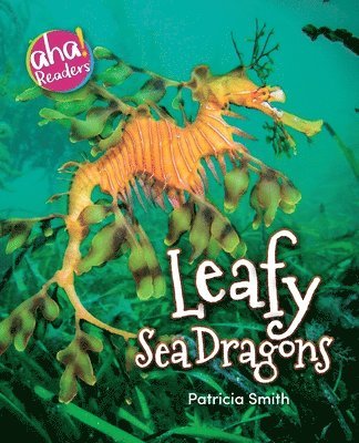 bokomslag Leafy Sea Dragons