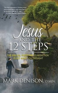 bokomslag Jesus and the 12 Steps