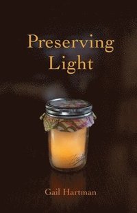 bokomslag Preserving Light