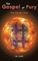 bokomslag The Gospel of Fury: The Gemini Star