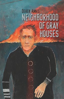Neighborhood of Gray Houses 1