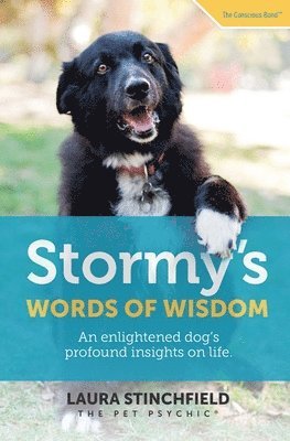 bokomslag Stormy's Words of Wisdom: An enlightened dog's profound insights on life