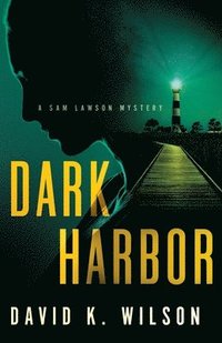 bokomslag Dark Harbor