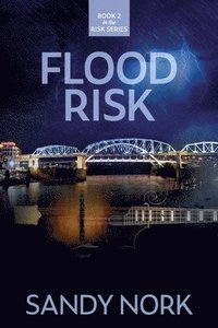 bokomslag Flood Risk