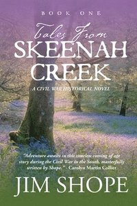 bokomslag Tales From Skeenah Creek