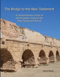 bokomslag The Bridge to the New Testament