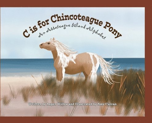 C is for Chincoteague Pony 1