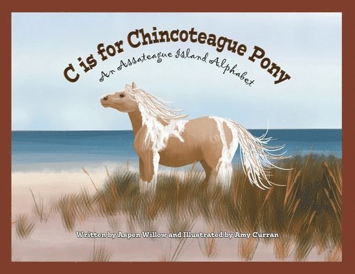 C is for Chincoteague Pony 1