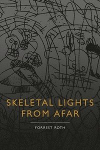bokomslag Skeletal Lights from Afar