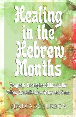 Seneca Schurbon - Healing in the Hebrew Months, Häftad