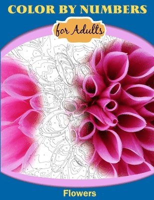 Inneract Studio, InnerAct Studio, - Color by Numbers for Adults, Häftad