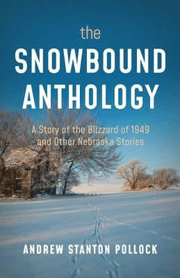 bokomslag The Snowbound Anthology