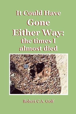 Robert C a Goff, Robert C. a. Goff, Robert C.A. Goff, Robert C. A. Goff - It Could Have Gone Either Way, Häftad