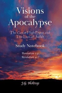 bokomslag Visions of the Apocalypse Study Notebook