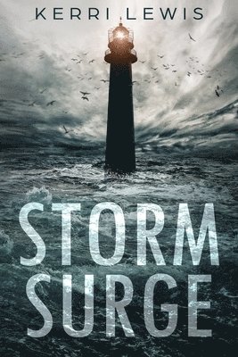 bokomslag Storm Surge