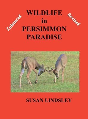 Wildlife in Persimmon Paradise (Enhanced and Revised) 1