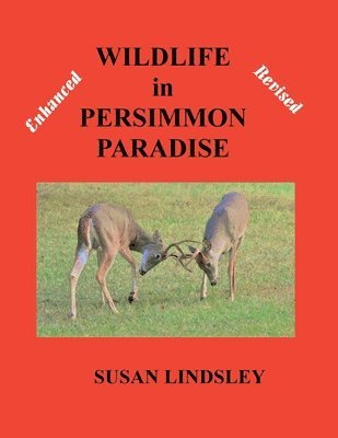 Wildlife in Persimmon Paradise (Enhanced and Revised) 1