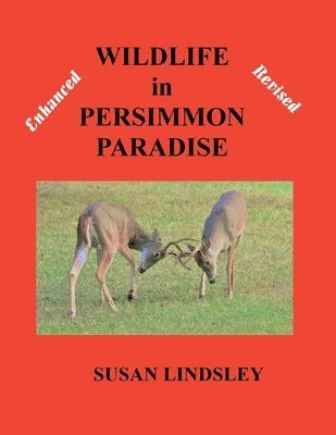 Susan Lindsley - Wildlife in Persimmon Paradise (Enhanced and Revised), Häftad
