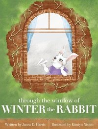 bokomslag Through the Window of Winter the Rabbit