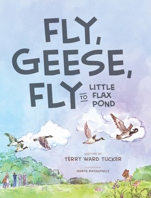 bokomslag Fly, Geese, Fly: to Little Flax Pond
