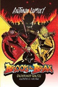 bokomslag Brook and Brax: Undercover Ninjas