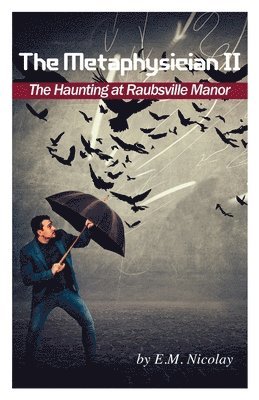 bokomslag Metaphysician II- True Story of the Haunting at Raubsville Manor