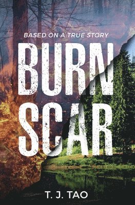 bokomslag BURN SCAR