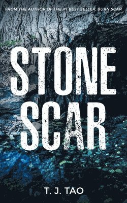 bokomslag Stone Scar: Angeline & Augustine Book #1