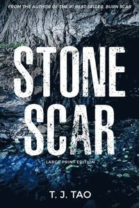 bokomslag Stone Scar: Angeline & Augustine Book #1 Large Print Edition