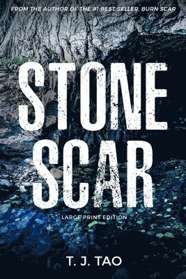 bokomslag Stone Scar: Angeline & Augustine Book #1 Large Print Edition