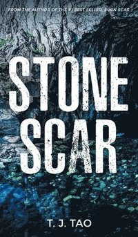 bokomslag Stone Scar: Angeline & Augustine Book #1
