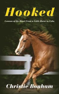 bokomslag Hooked: Lessons of the Heart From a Little Horse in Cabo