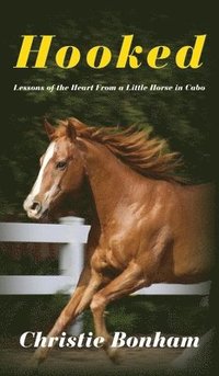 bokomslag Hooked: Lessons of the Heart From a Little Horse in Cabo
