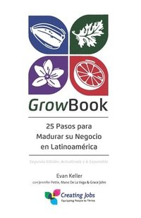 bokomslag 25 Pasos para Madurar Su Negocio en Latinoamérica: Segunda Edición: Actualizada y & Expandida