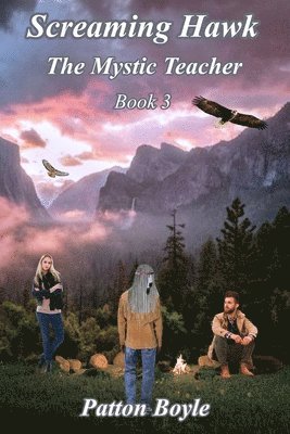 Screaming Hawk: The Mystic Teacher Book 3